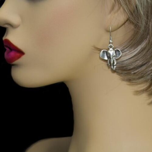 EARRINGS - 5323